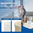 funmit-maf2-humidifier-wick-filter-2-pac-6.jpg