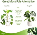 stackable-monstera-plant-support-stakes--6.jpg