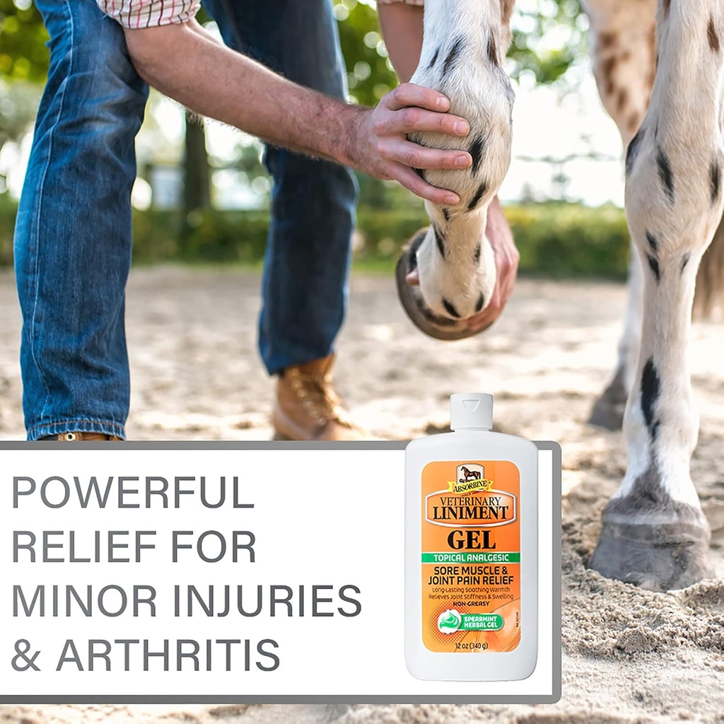 absorbine-veterinary-liniment-topical-an-5.jpg