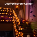 jackyled-halloween-string-lights-30-led--3.jpg
