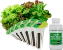 AeroGarden Heirloom Salad Greens Mix Seed pod Kit with Pre-Seeded Grow pods, Liquid Plant Food, and Growing Guide, 6-Pod