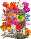 Seed Needs Flower Seeds Hummingbird and Butterfly Seed Mix 1 Ounce No Filler | 23 Varieties Garden Seeds Annual & Perennial Species | Pollinator Attracting Flowering Seed | Bulk Resealable Package